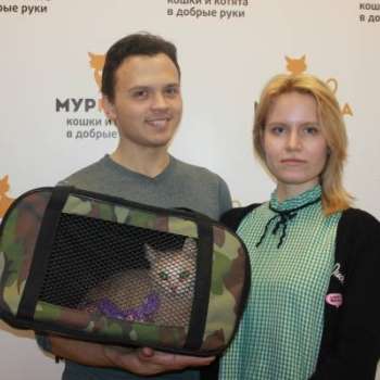 Курага