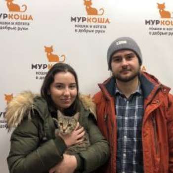 Ибица