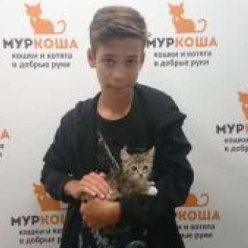 Федора