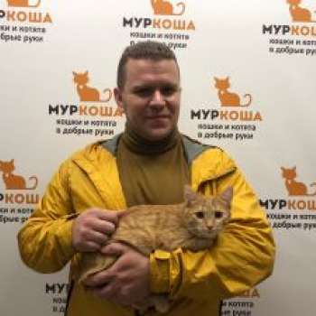 Купидон