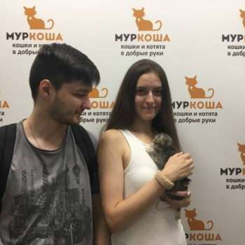 Стефа