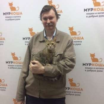 Сима