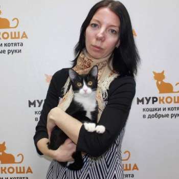 Шелк