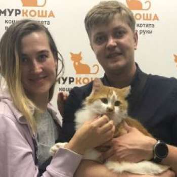 Сильвер