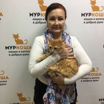 Гавриэль