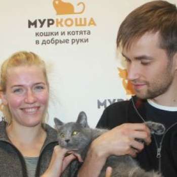 Дымка