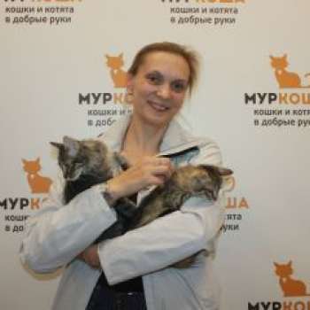Гусар