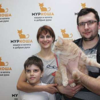 Мартик