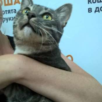 Николай