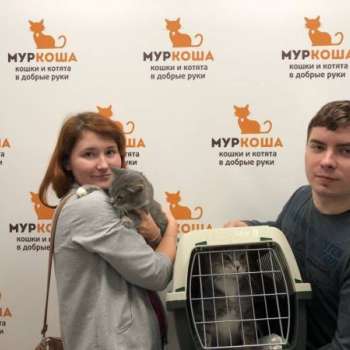 Помадка