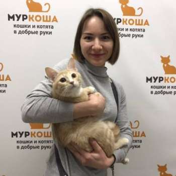 Зейн