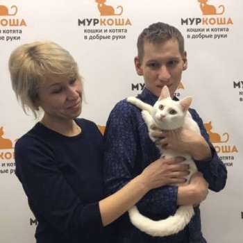 Луиджи
