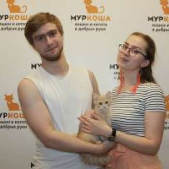 Визерион