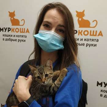 Доминикана