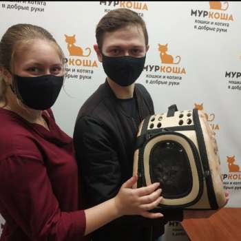 Донатс