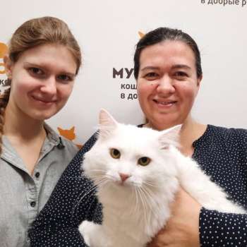 Джонс