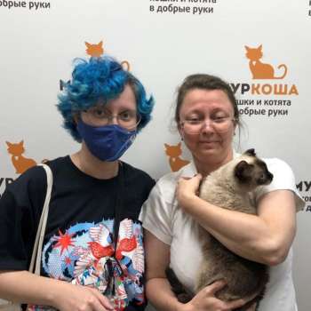 Фейхоа