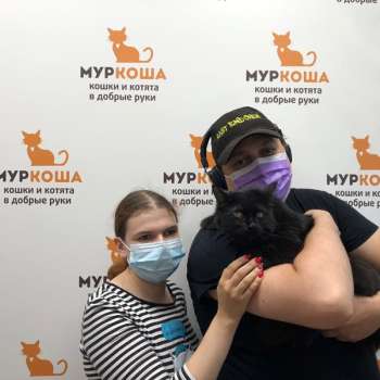 Икорка