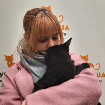 Кларита