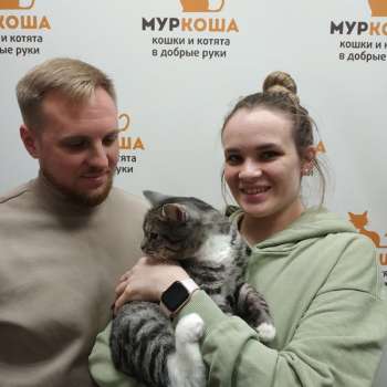 Космос