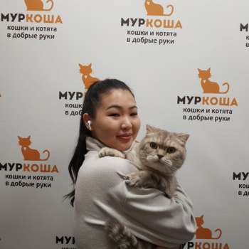 Лилуш