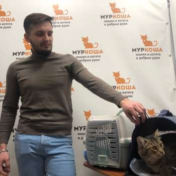 Бонзалин