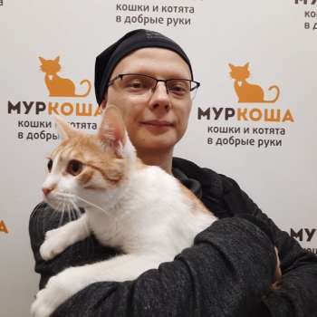 Минор