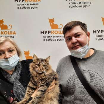 Мирс