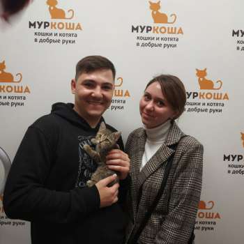 Наби 