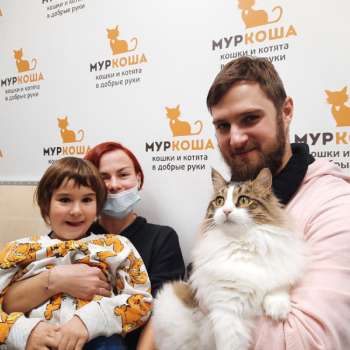 Ремикс