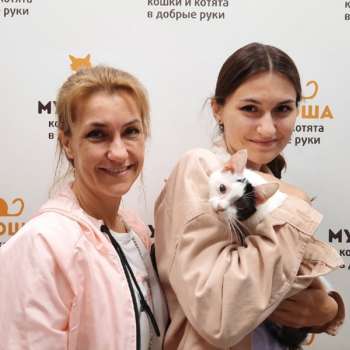 Соломинка