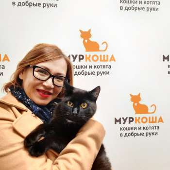 Спенсер