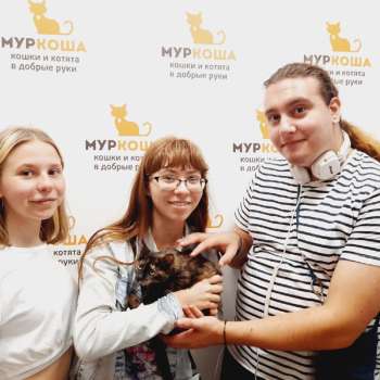Йоко