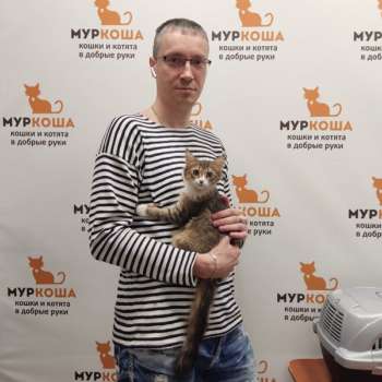 Запеканка