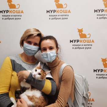 Зорина
