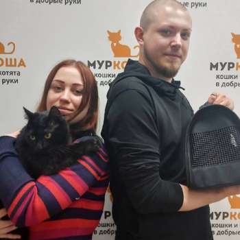 Подарок 