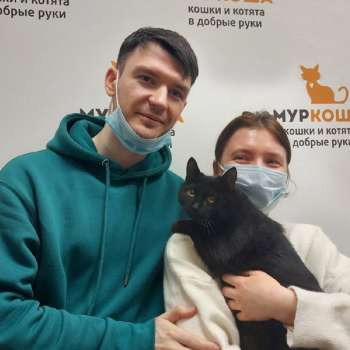 Призрак 
