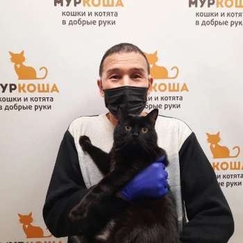 Шарлин