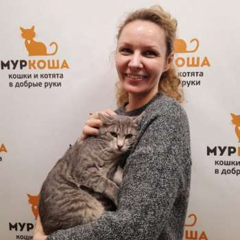 Жюль