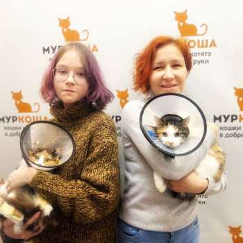 Кнопочка 