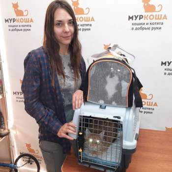 Джулька 