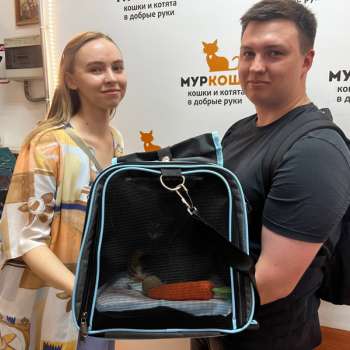 Морзянка