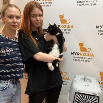 Яла 