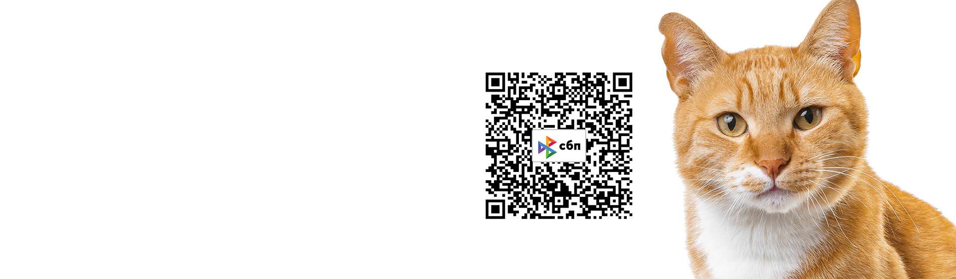 QR-код слайдер