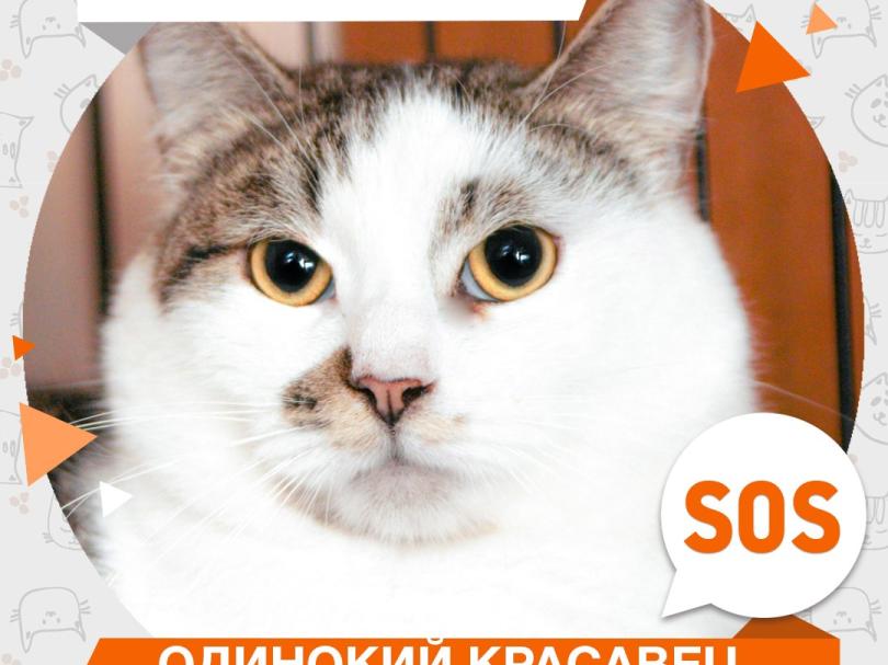 Михей