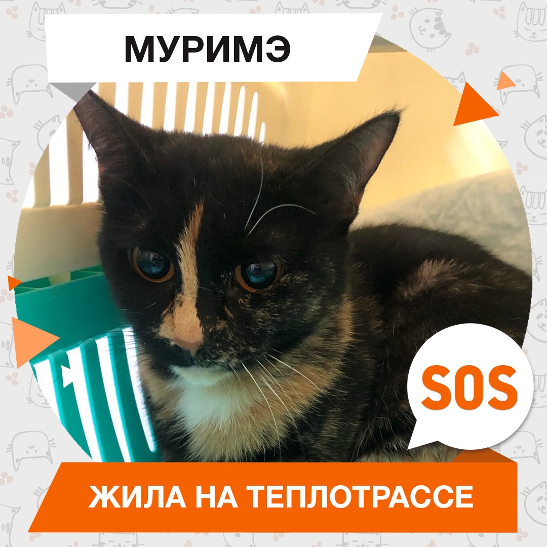 Муримэ