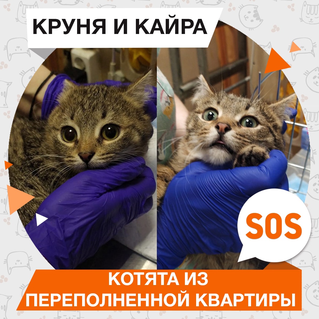 Круня и Кайра