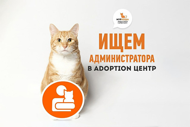 Администратор