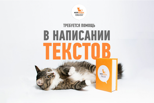 Волонтёр для написания текстов