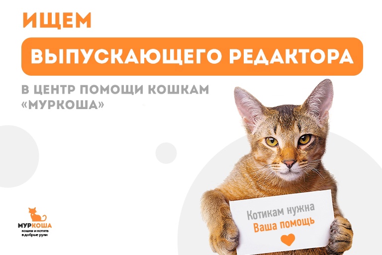 Выпускающий редактор–волонтёр